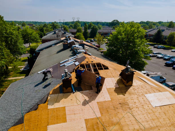 Best Roof Maintenance Services  in Marshall, IL