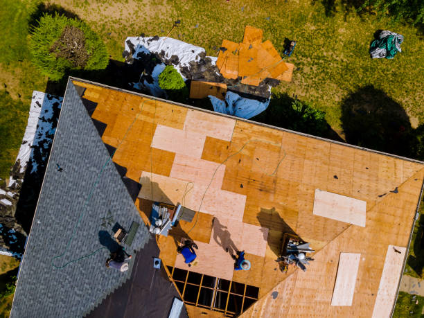 Best Roof Waterproofing Services  in Marshall, IL