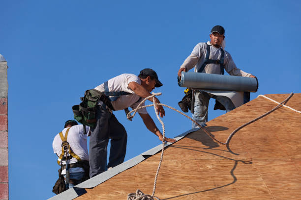 Best Best Roofing Contractors  in Marshall, IL
