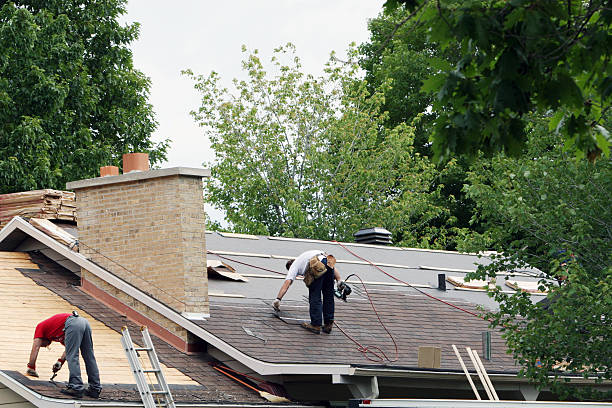 Best Roof Maintenance Services  in Marshall, IL