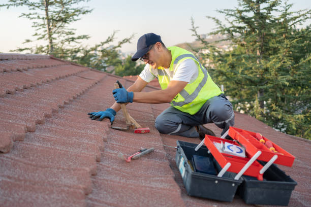 Best Sealant for Roof  in Marshall, IL