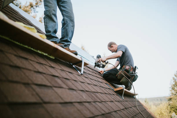 Best Roof Gutter Cleaning  in Marshall, IL